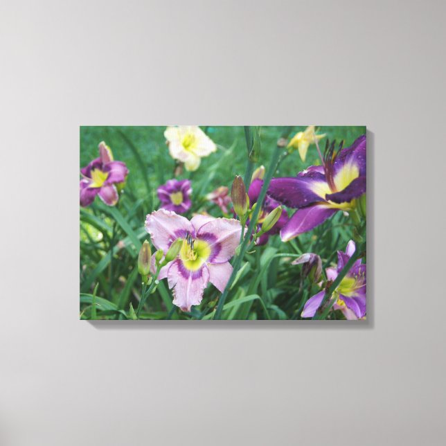 The Beauty of Daylilies Canvas Print (Front)