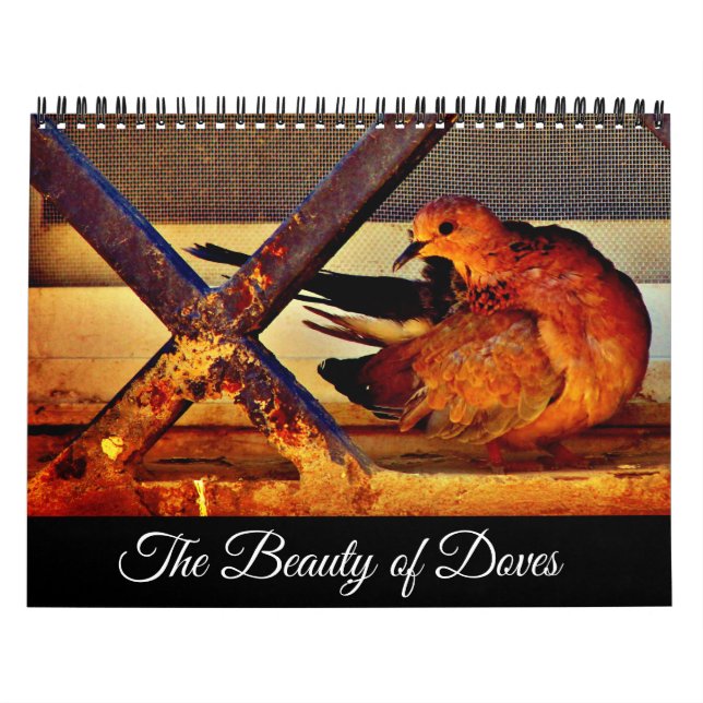 The Beauty of Doves Calendar (Cover)