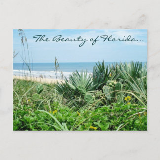 The Beauty of Florida Postcard / Beach Postcard