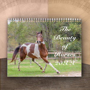 The Beauty of Horses Calendar