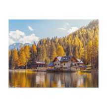 THE BEAUTY OF NATURE IN THE LAKE