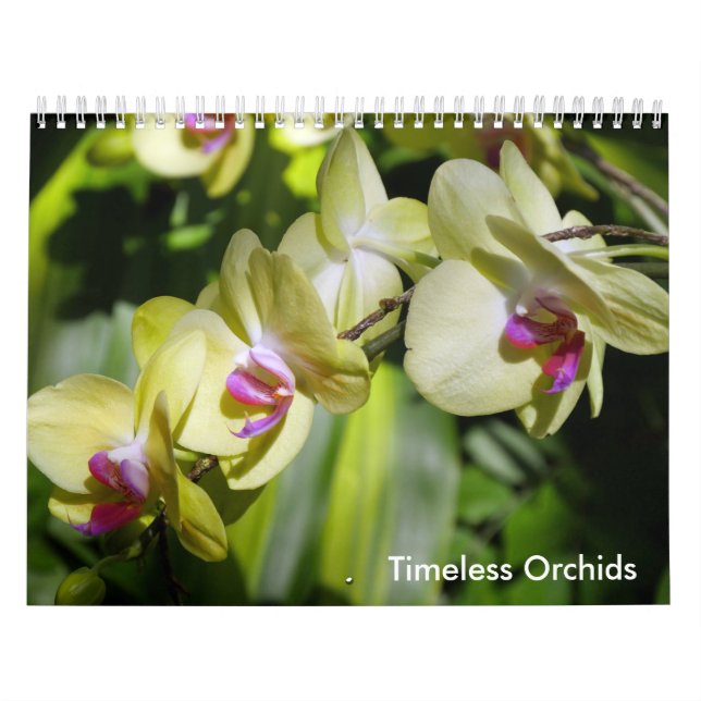The Beauty of Orchids Calendar (Cover)
