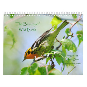 The Beauty of Wild Birds Calendar