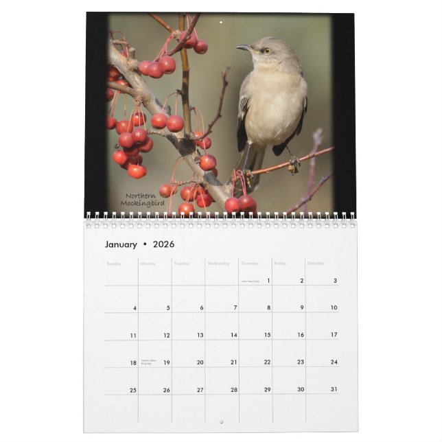 The Beauty of Wild Birds Calendar (Jan 2026)