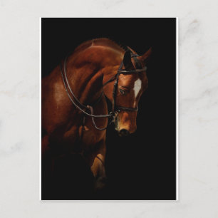The Beauty Postcard