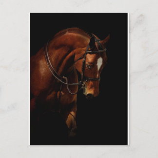 The Beauty Postcard