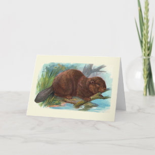 "The Beaver" Vintage Illustration Card