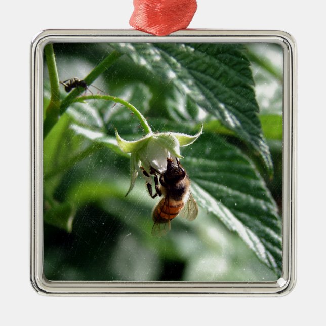 The Bee on the Raspberry Bush Metal Tree Decoration (Front)