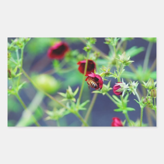 The Bee With the Red Flower Rectangular Sticker (Front)