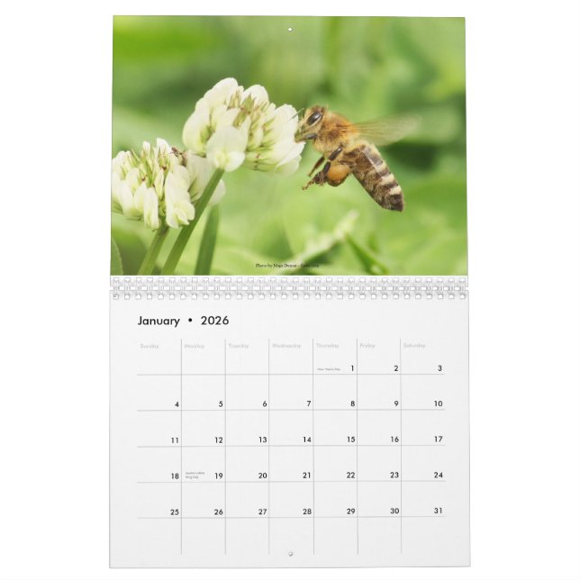 The Beekeepers Calendar 2013 (Jan 2026)