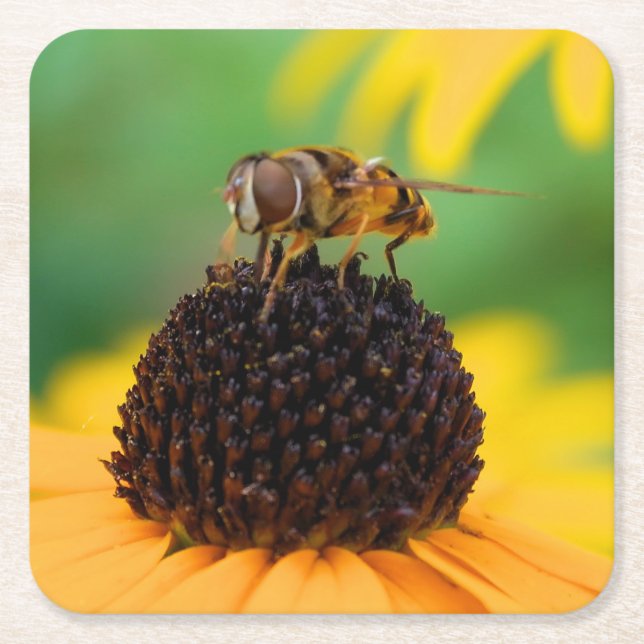 The Bees of Summer - Daisy Coaster (Front)