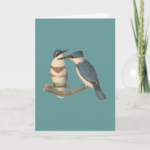 The Belted Kingfisher	 (Alcedo alcyon) Card