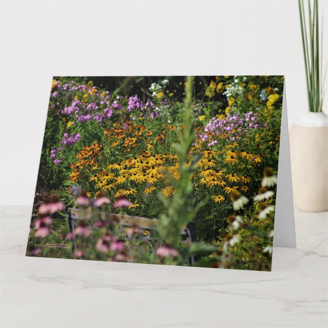 The Bench in the Tent Gardens Card (Front)