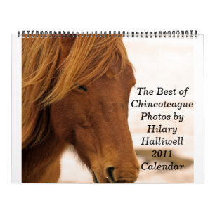 The Best of ChincoteaguePhotos by Hilar... Calendar