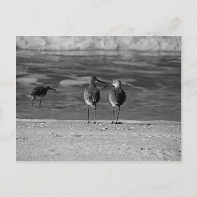 The Best Things in Life Are Free Postcard (Front)