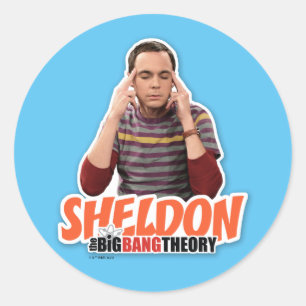 The Big Bang Theory   Sheldon Classic Round Sticker