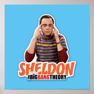 The Big Bang Theory Sheldon Poster
