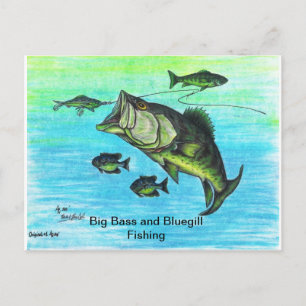 The Big Bass and Bluegill Fishing US Post Card Set