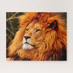 The Big Cats Lions Jigsaw Puzzle