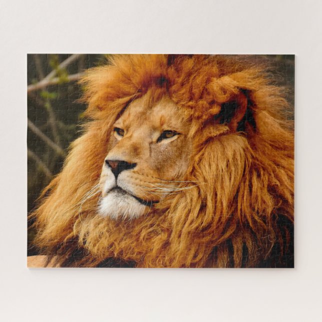 The Big Cats Lions Jigsaw Puzzle (Horizontal)