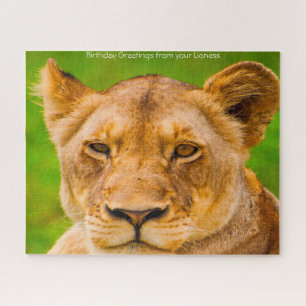 The Big Cats Lions. Jigsaw Puzzle
