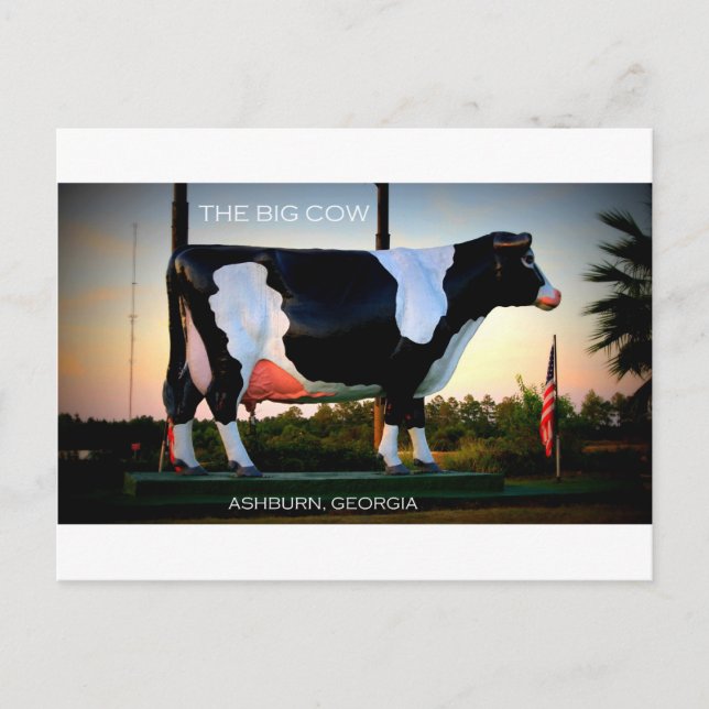 THE BIG COW - ASHBURN, GEORGIA POSTCARD (Front)