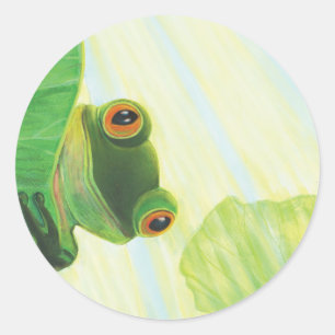 The big-eyed green frog behind lily pad   classic round sticker