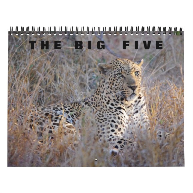 THE BIG FIVE CALENDAR (Cover)