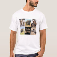 The Big Five Wild Animals African Safari Photo