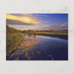 The Big Hole River at last light near Jackson Postcard