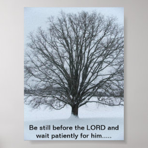 The big Oak Tree Poster