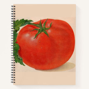 the Big Tomato Notebook