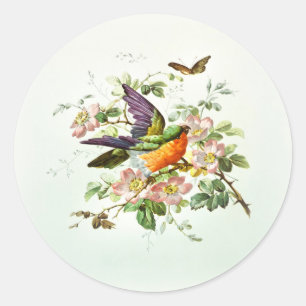The bird and the butterfly  classic round sticker