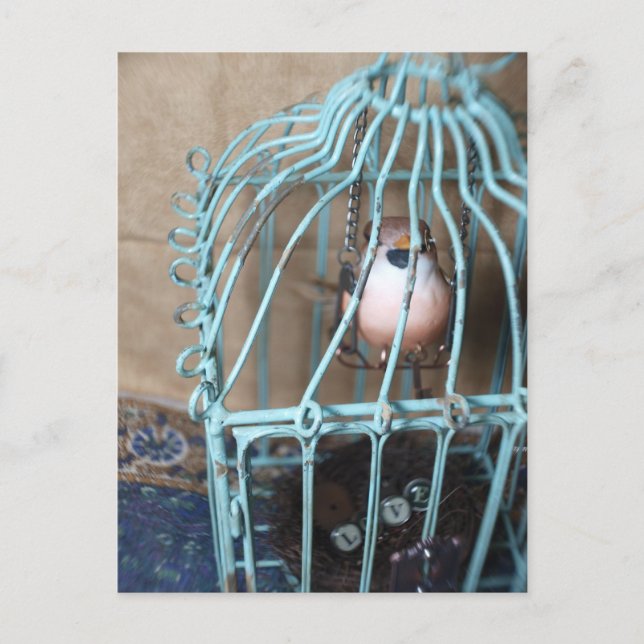 The Bird Holds the Key Postcard (Front)