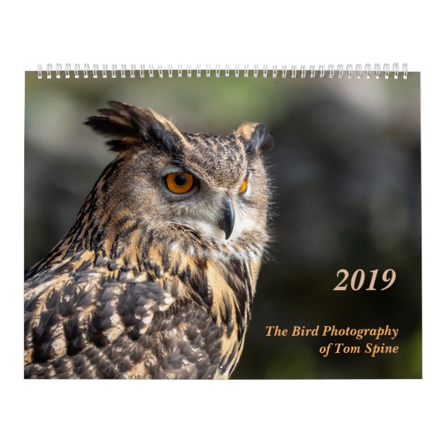 The Bird Photography of Tom Spine ~ 2019 Calendar (Cover)