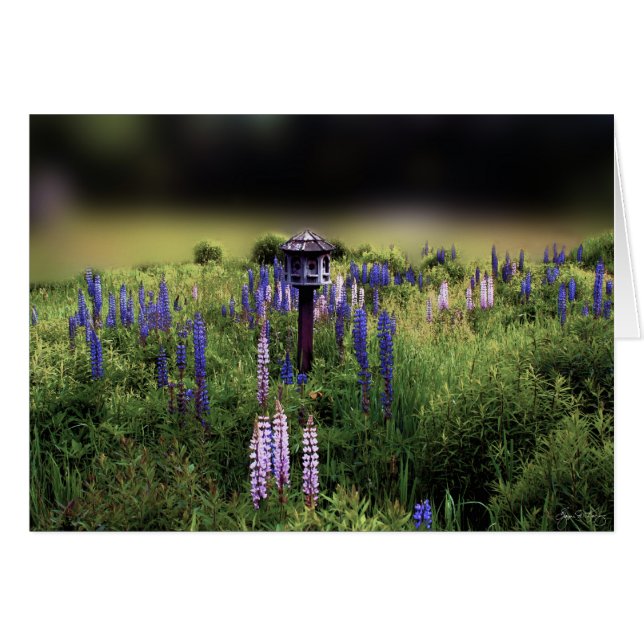 The Birdhouse and Lupines (Front Horizontal)