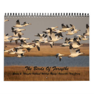 The Birds of Forsythe Calendar