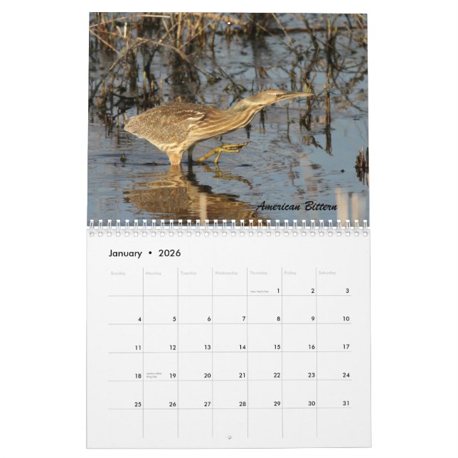 The Birds of Forsythe II Calendar (Jan 2026)