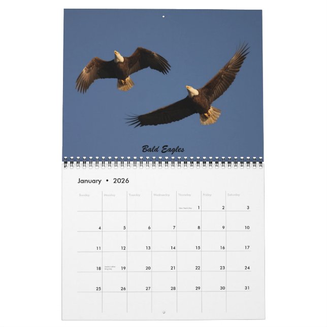 The Birds of Forsythe - Official Refuge Calendar (Jan 2026)