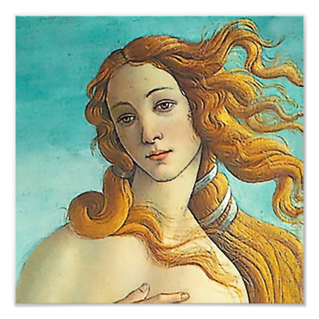 The Birth of Venus - Close up Photo Print (Front)