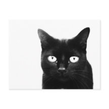 The Black Cat