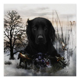 The Black Golden Retrievers Poster