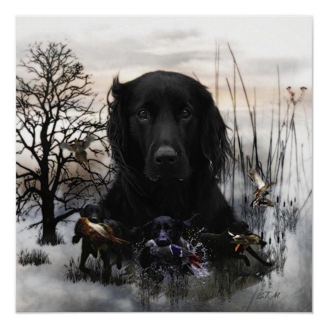 The Black Golden Retrievers  Poster (Front)