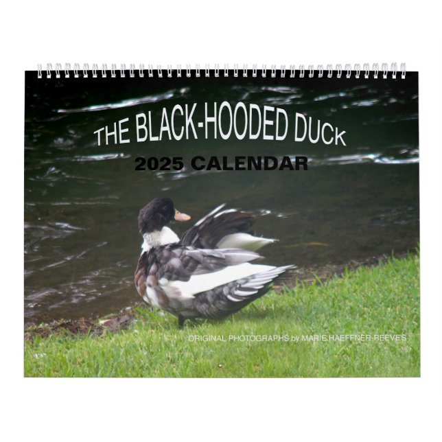 THE BLACK-HOODED DUCK 2025 CALENDAR (Cover)