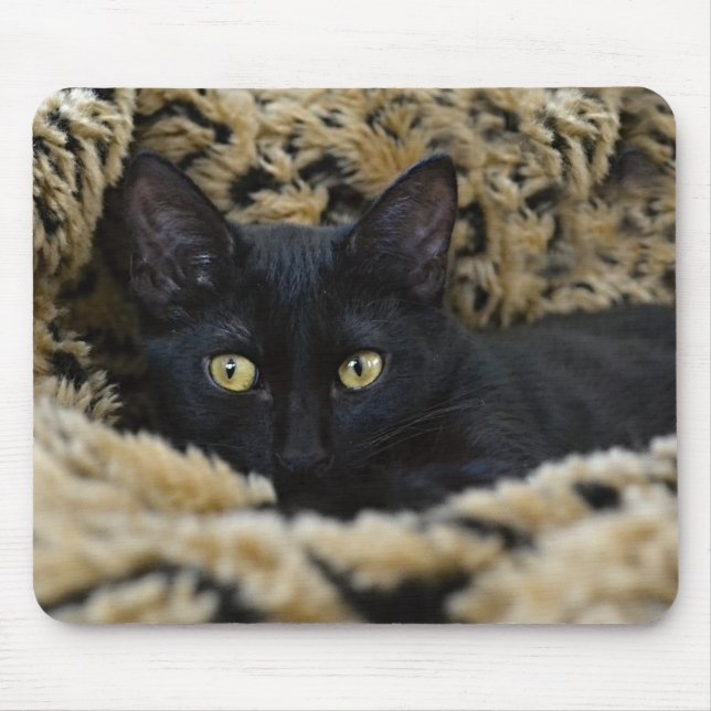 The Black Kitten Mouse Mat (Front)