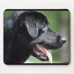 The Black Labrador Mouse Mat