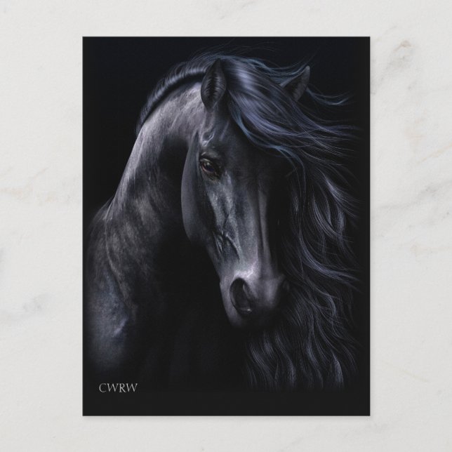 The Black Postcard (Front)