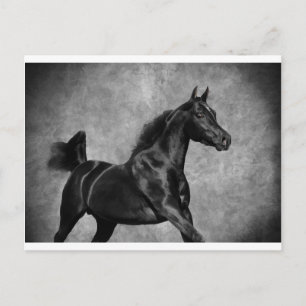 The Black Postcard