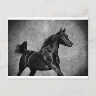 The Black Postcard