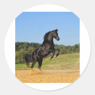 The Black Stallion Classic Round Sticker